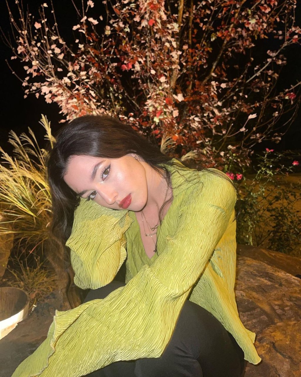 Preview image for callisandra