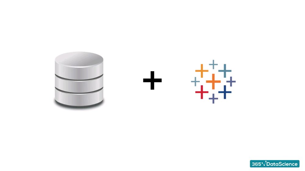 Preview image for [hacksnation.com] -- [365 data science] programming for data science