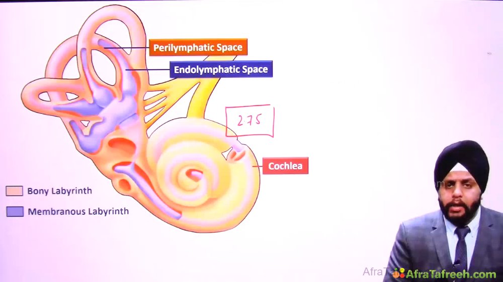 Preview image for sarvejeet singh all lectures