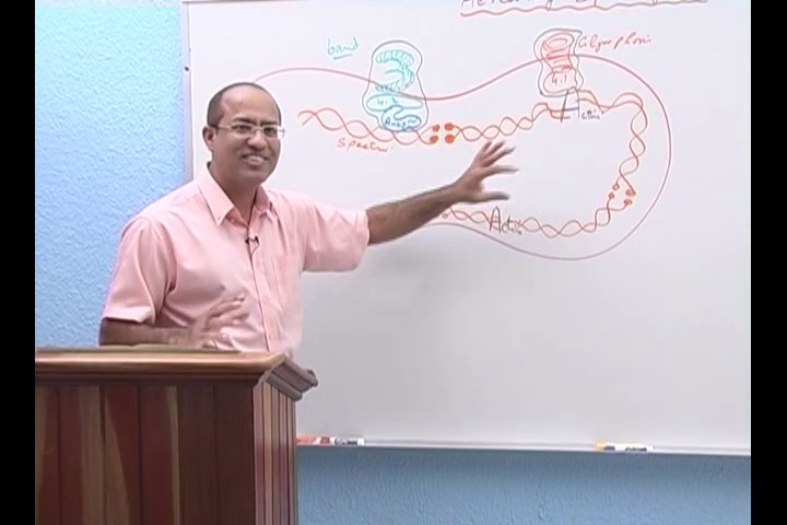 Preview image for dr.najeeb lecs(al hayat)