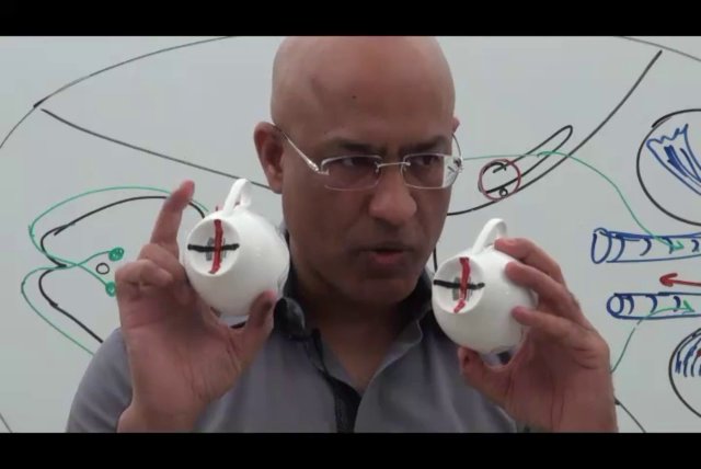 Preview image for dr.najeeb lecs(al hayat)