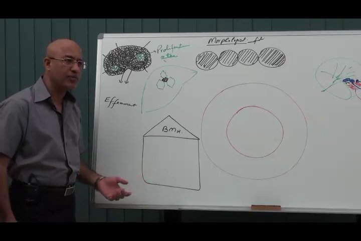 Preview image for dr.najeeb lecs(al hayat)