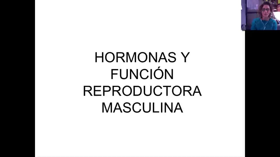 Preview image for hormonas sexuales masculinas