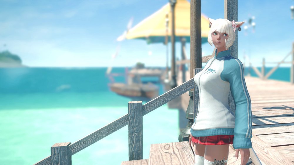 Preview image for 1_public 
