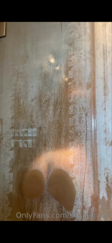 Preview image for sophie raiin
