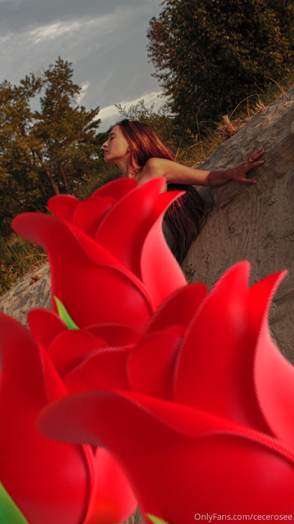 Preview image for cece rosee