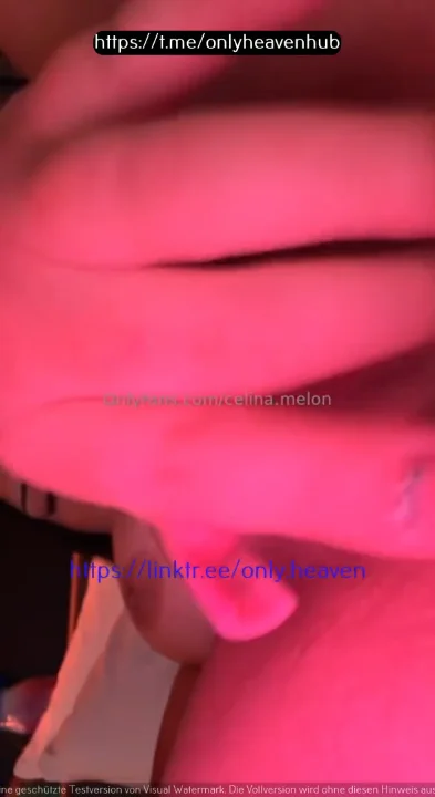 Preview image for celina melon (6X4s)