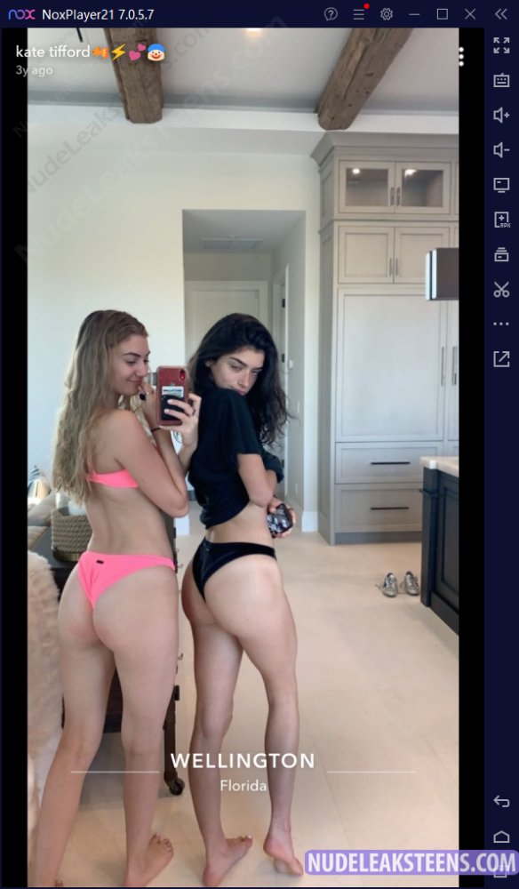 Preview image for 0nlynsfwpack_tlp0495