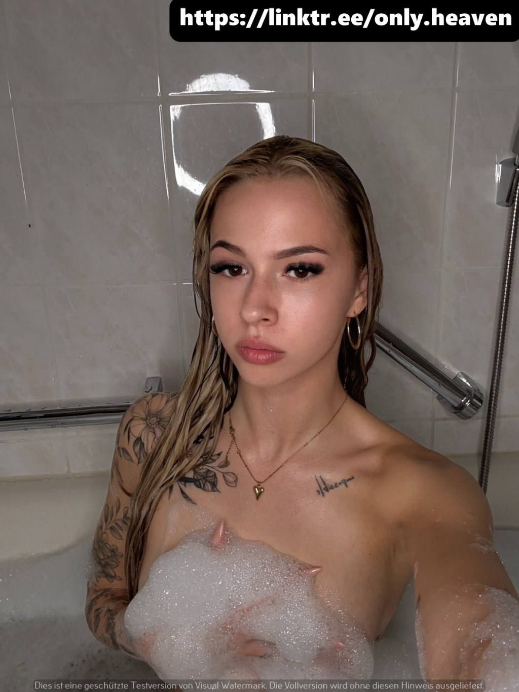 Preview image for aliabaddie (BvML)
