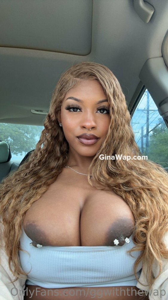 Preview image for ginawap