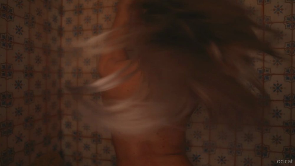 Preview image for ocicat