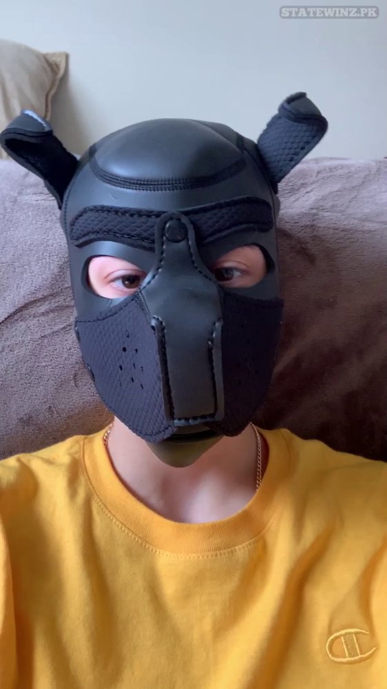 Preview image for 🐶 @bulldogpack [telegram]