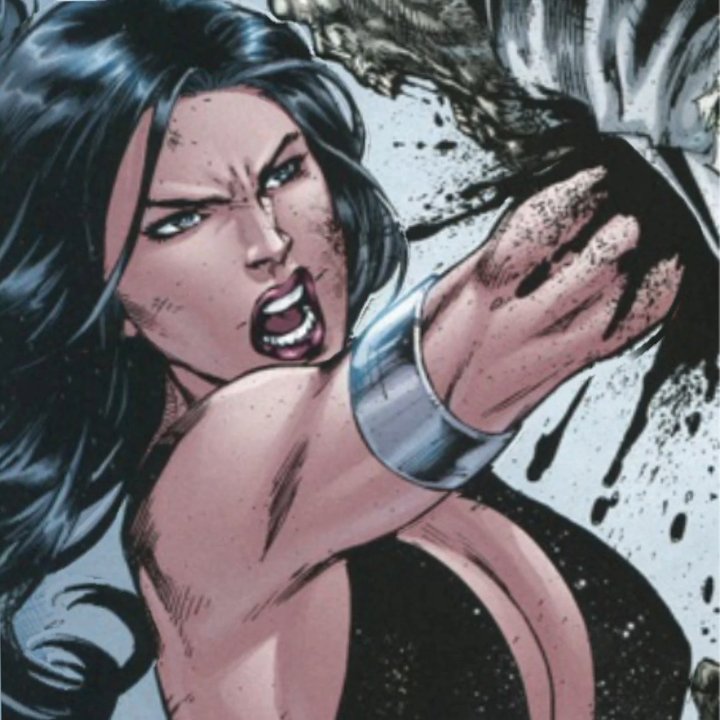 Preview image for donna troy