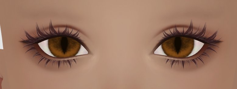 Preview image for preview