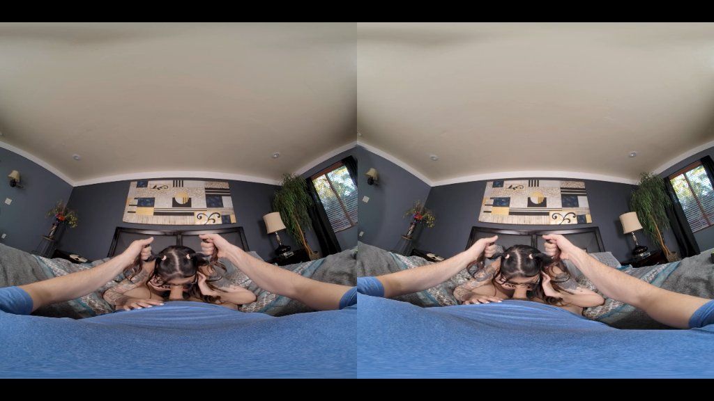 Preview image for vr pmv