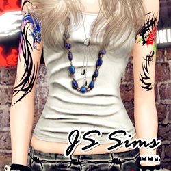 Preview image for js sims3