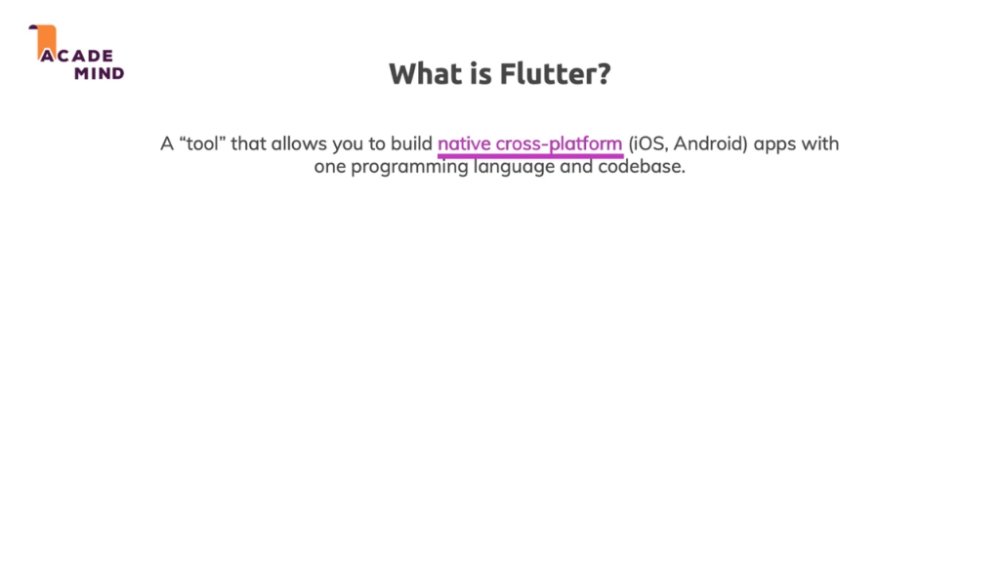 Preview image for  flutter & dart – the complete guide