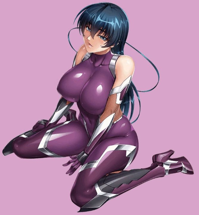 Preview image for taimanin webms