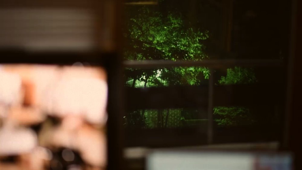 Preview image for dongwan archive