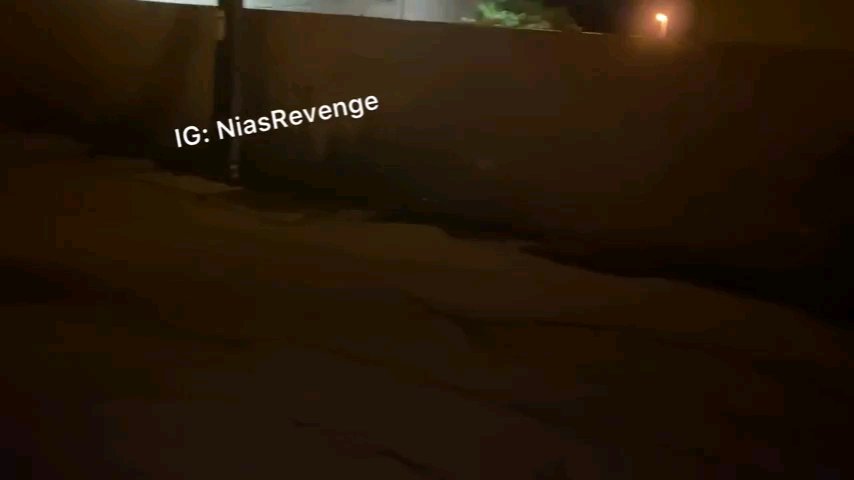Preview image for niasrevenge