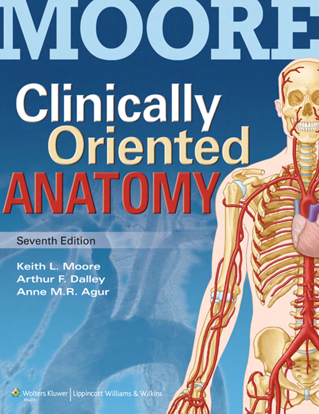Preview image for study