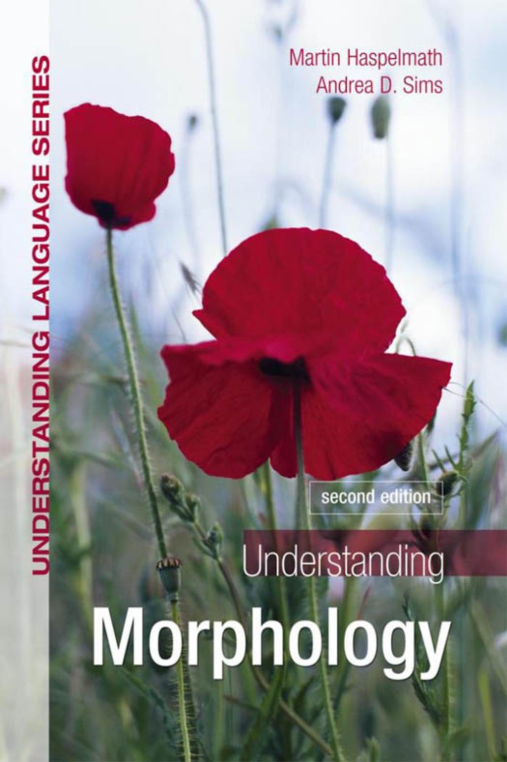 Preview image for languages and linguistics