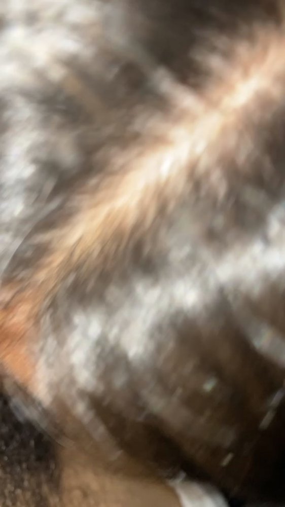 Preview image for @ofsecretss [telegram] 