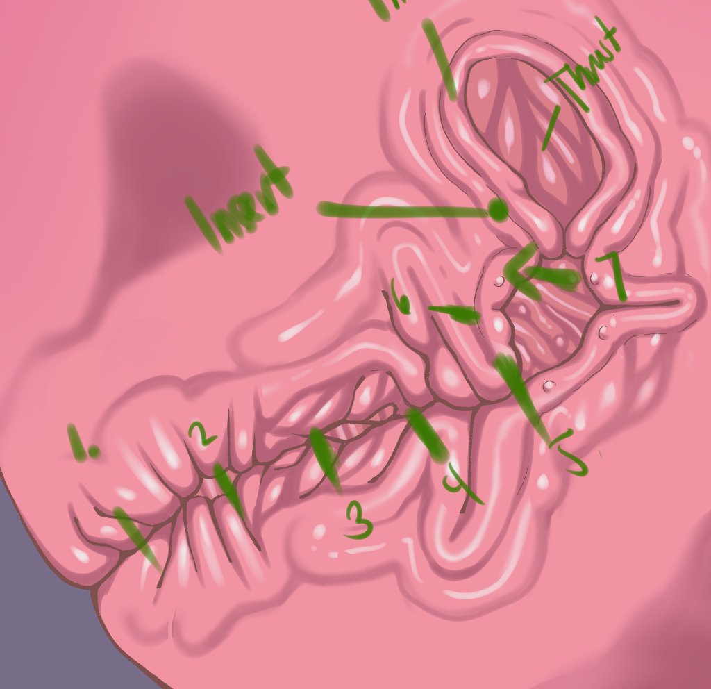 Preview image for past works