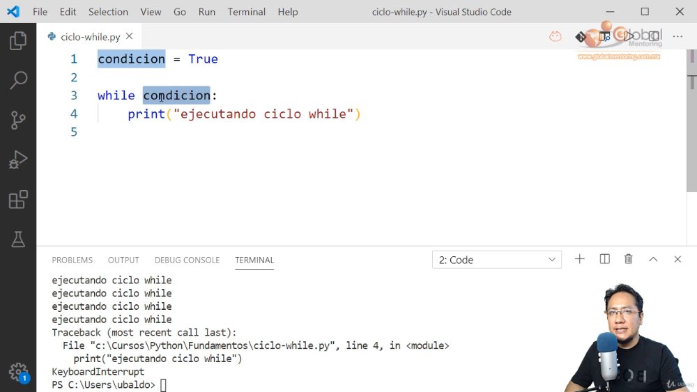 Preview image for universidad python - django, flask, postgresql y más! +13hrs