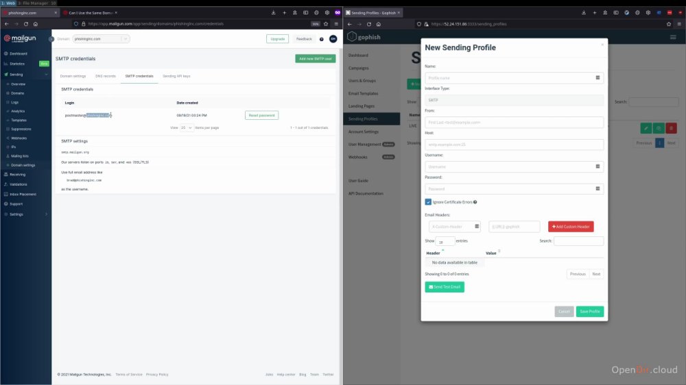 Preview image for practical phishing