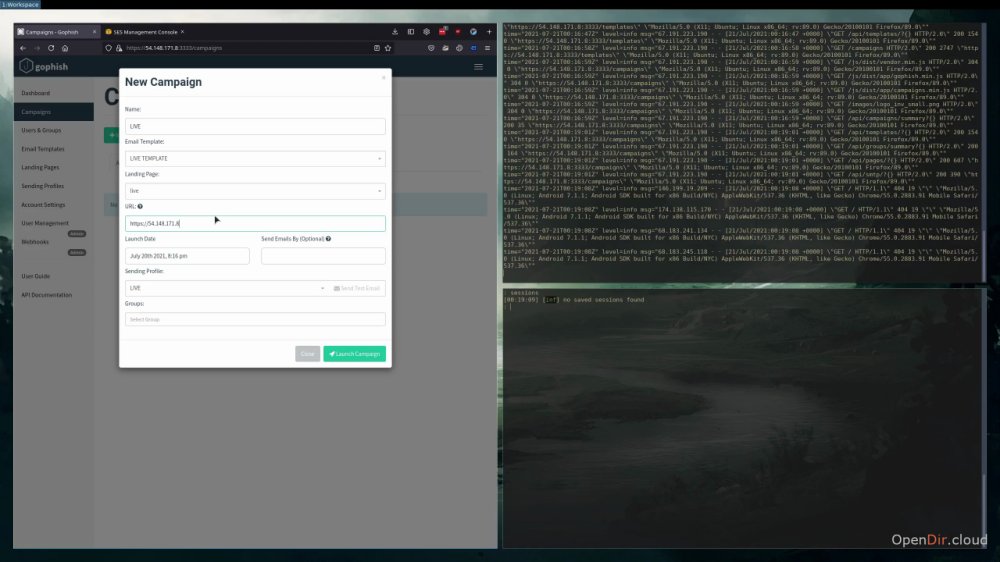 Preview image for practical phishing