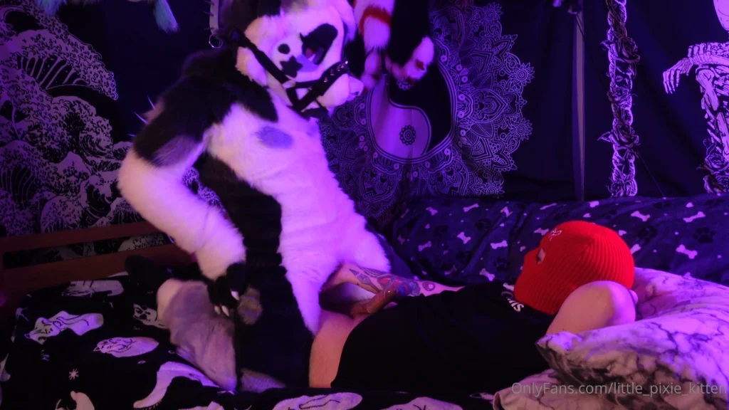 Preview image for lilpixiekitten