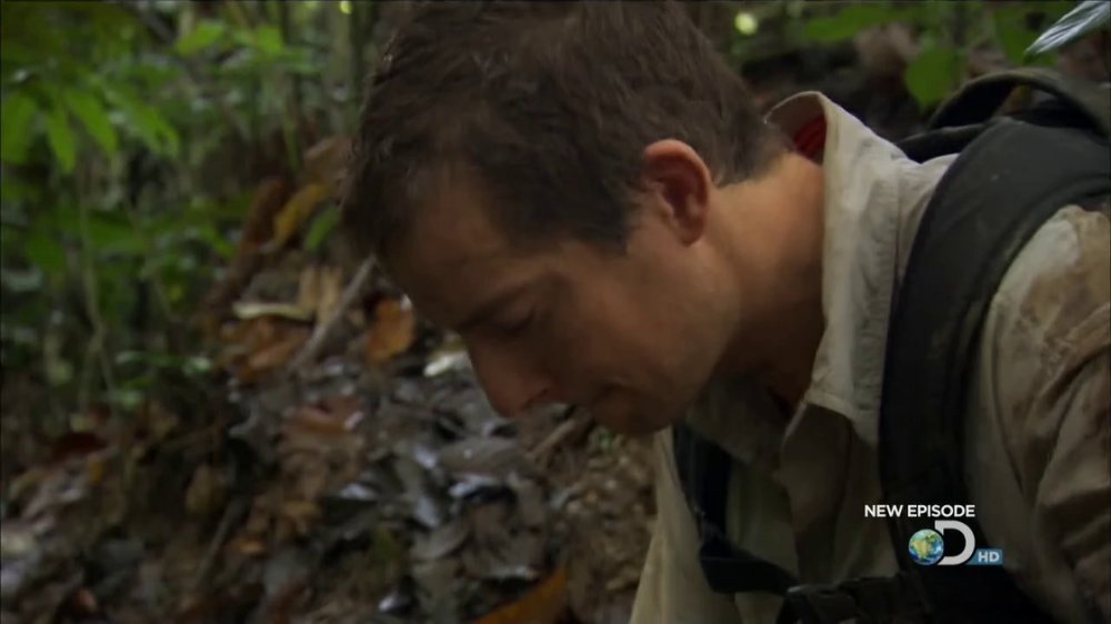 Preview image for man vs wild
