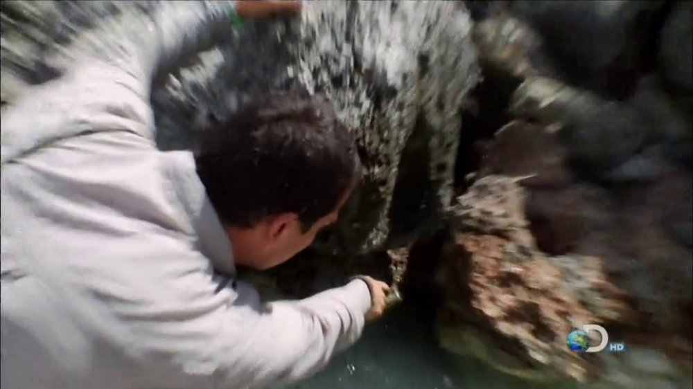 Preview image for man vs wild
