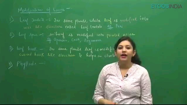 Preview image for iit jee [freesoff.com]