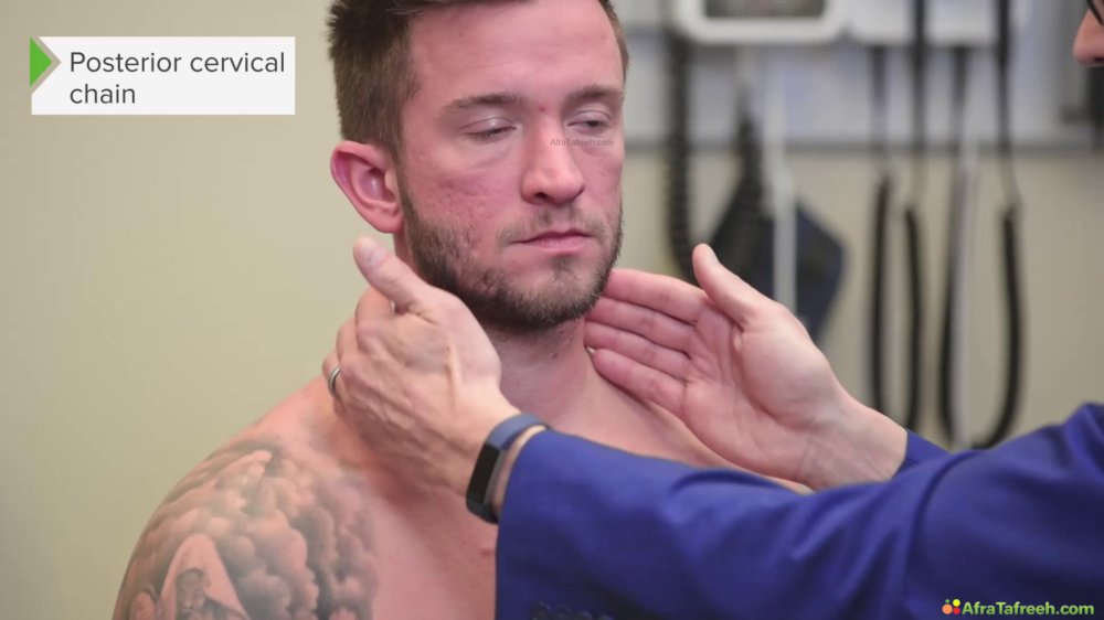Preview image for physical examination - lecturio