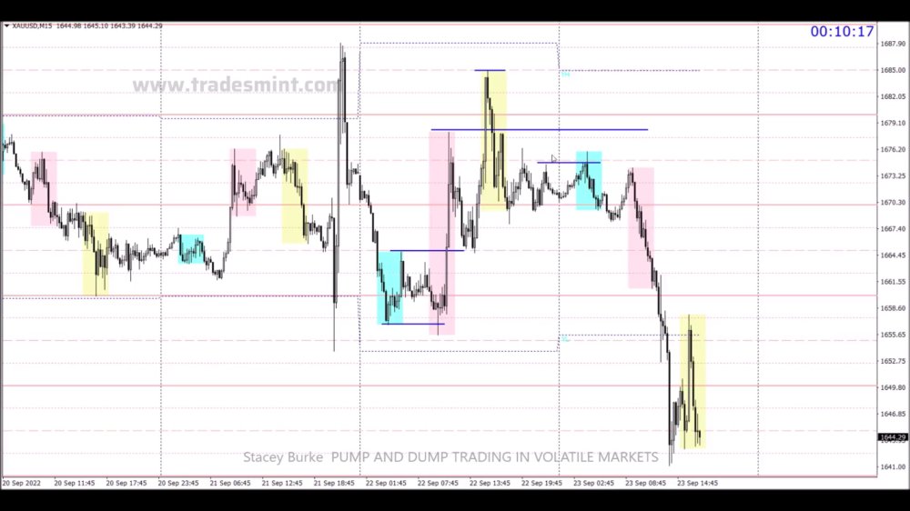 Preview image for stacey burke trading - best trading setups playbook ($147) (moneyvipprogram.com)