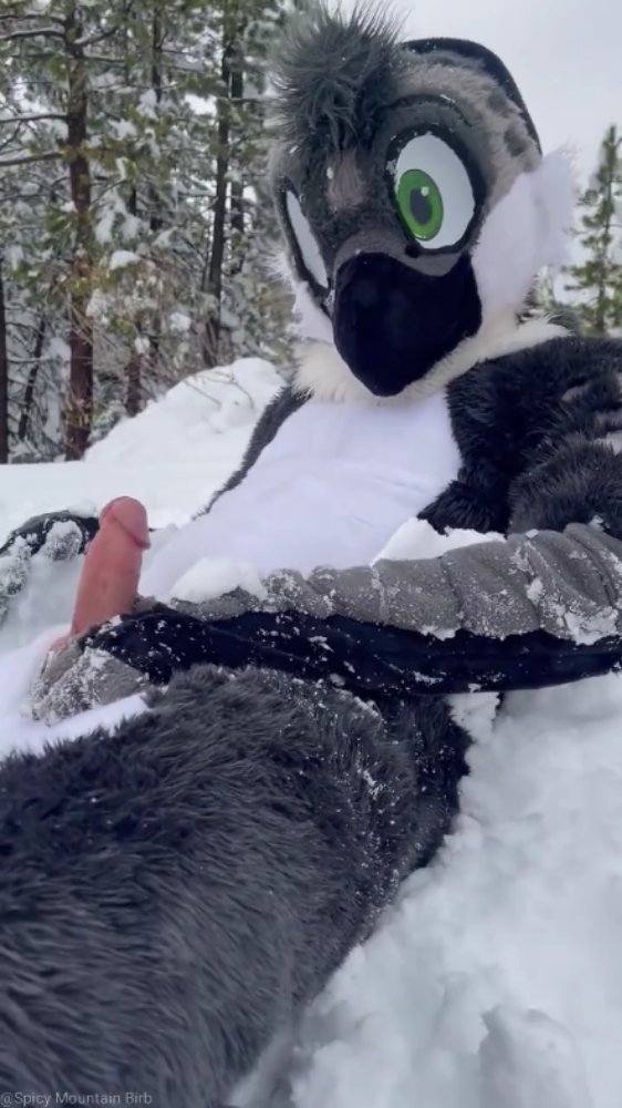 Preview image for murr