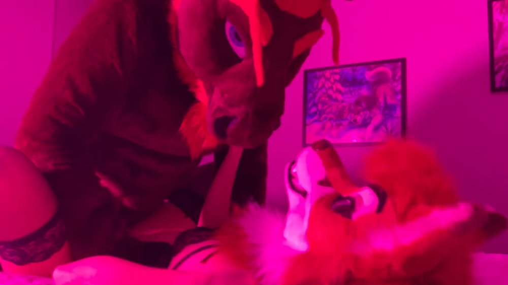 Preview image for murr