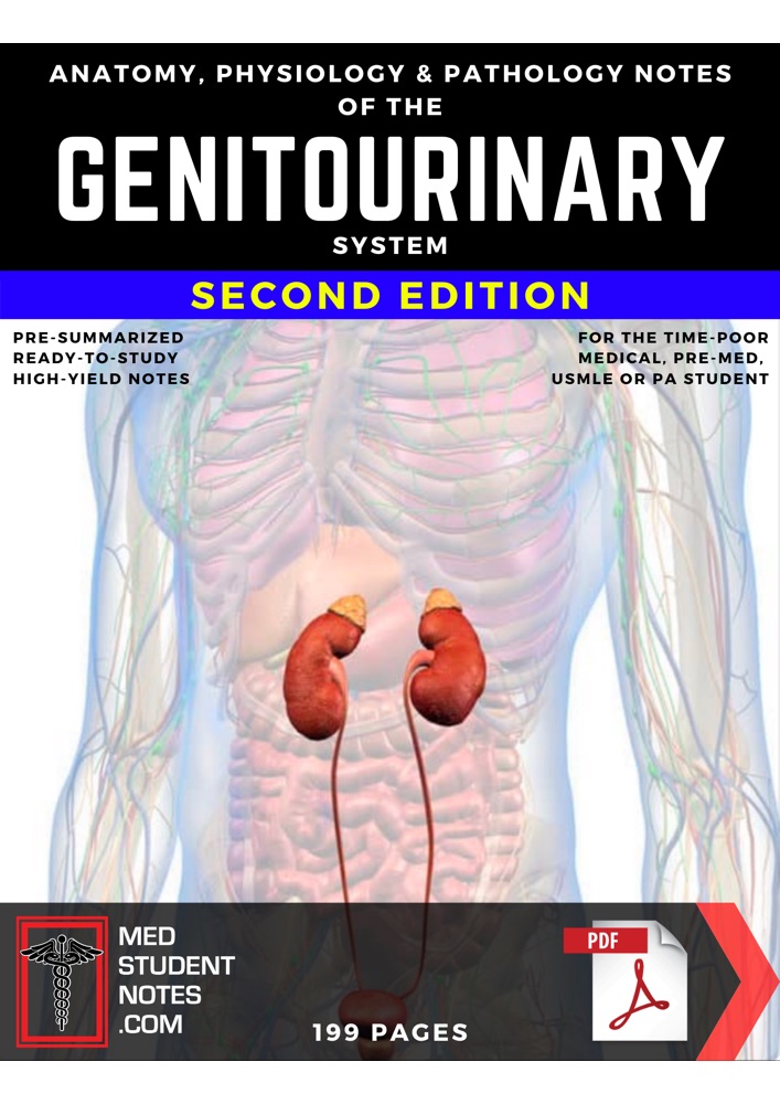 Preview image for medstudentnotes