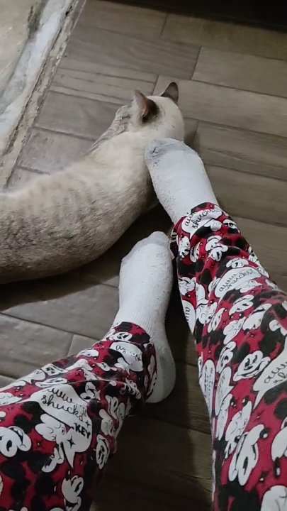 Preview image for irl feet archive compilation