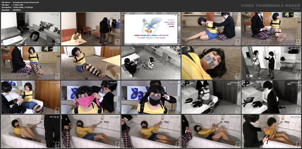 Preview image for bondage videos