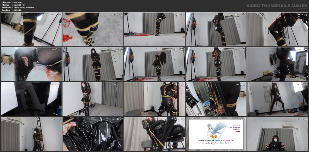 Preview image for bondage videos