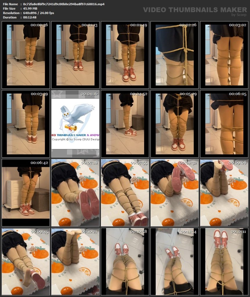 Preview image for bondage videos