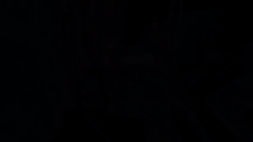 Preview image for zaelgolin vids