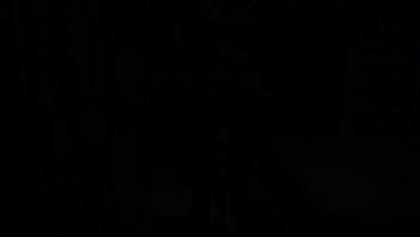 Preview image for zaelgolin vids