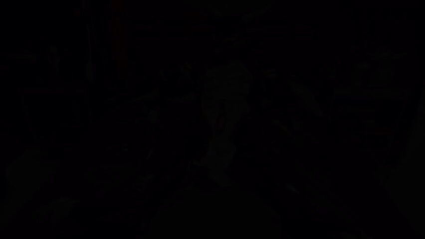 Preview image for zaelgolin vids