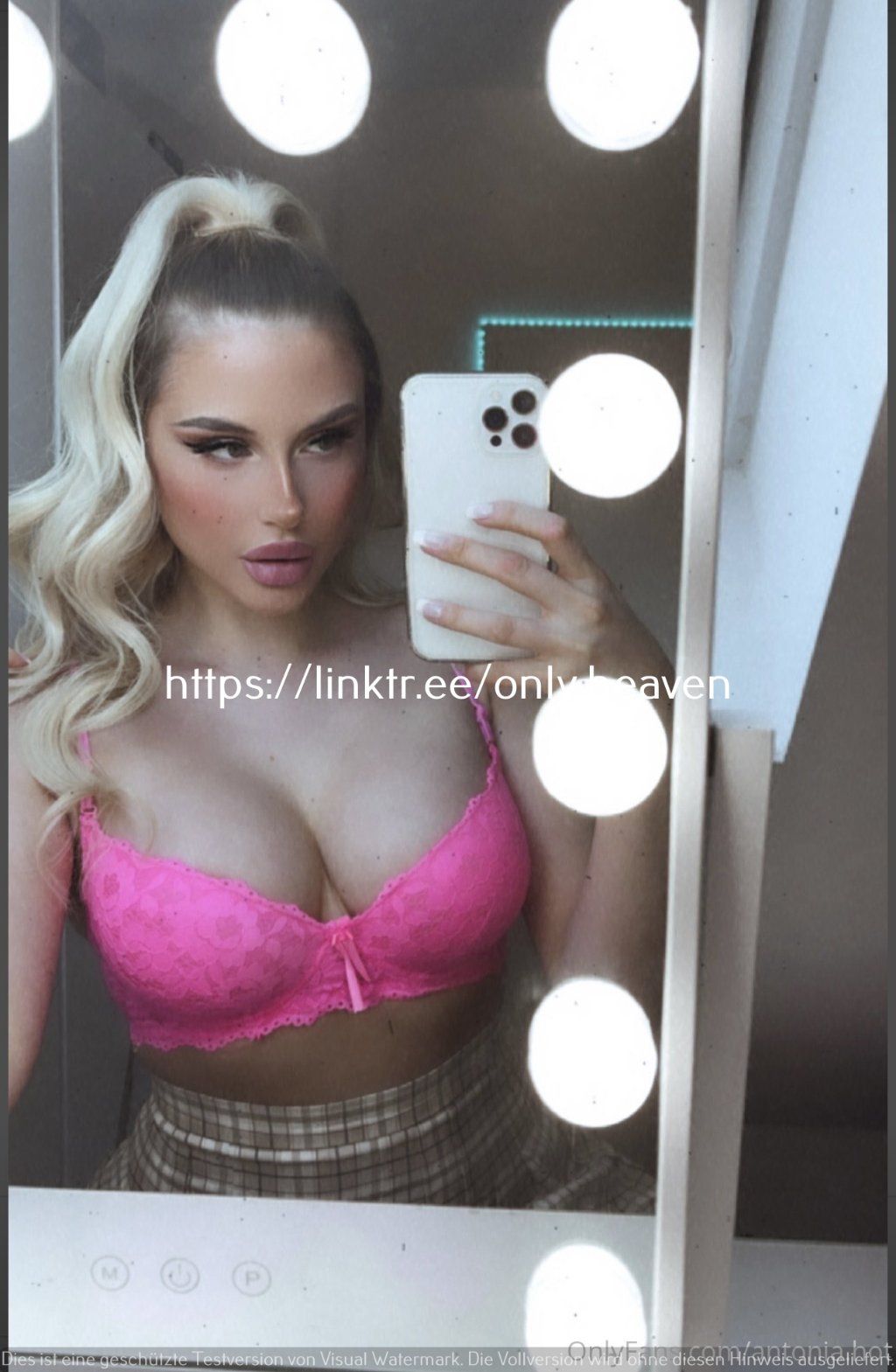 Preview image for antonia rot