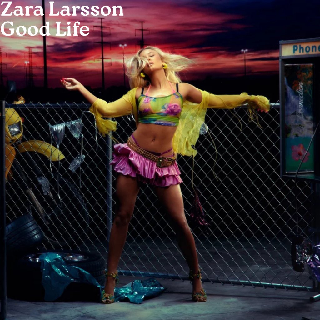 Preview image for zara larsson