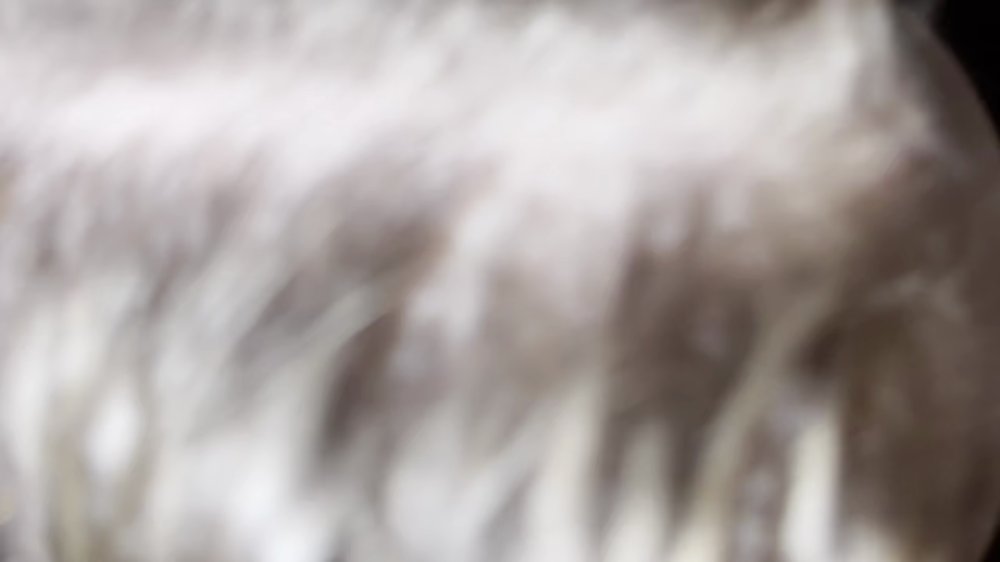 Preview image for rachel_mann347
